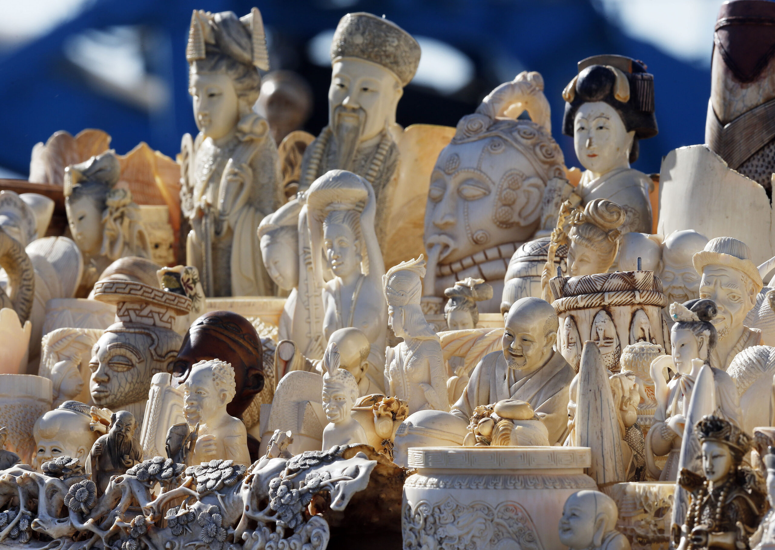 US to crack down on ivory to protect elephants