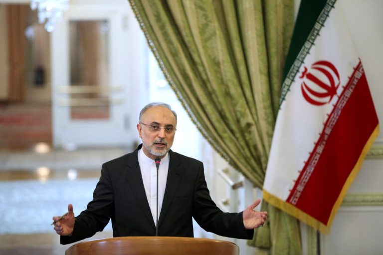 Ali Akbar Salehi said that foreign companies, including those from the United States, would be required to supply Iran what it needs for the Arak heavy water reactor under any deal. (AP Photo)