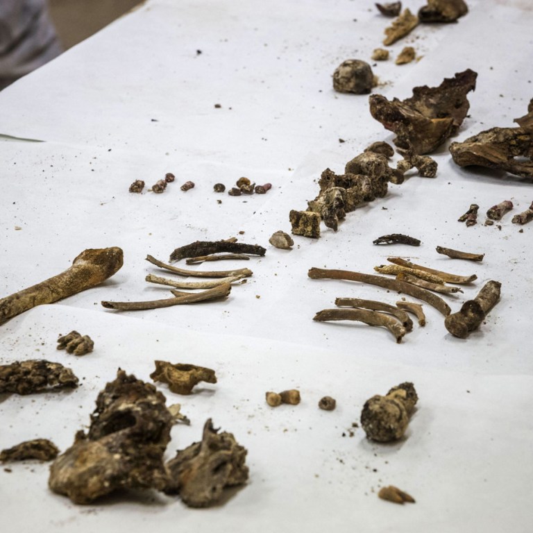 The Bones of Miguel