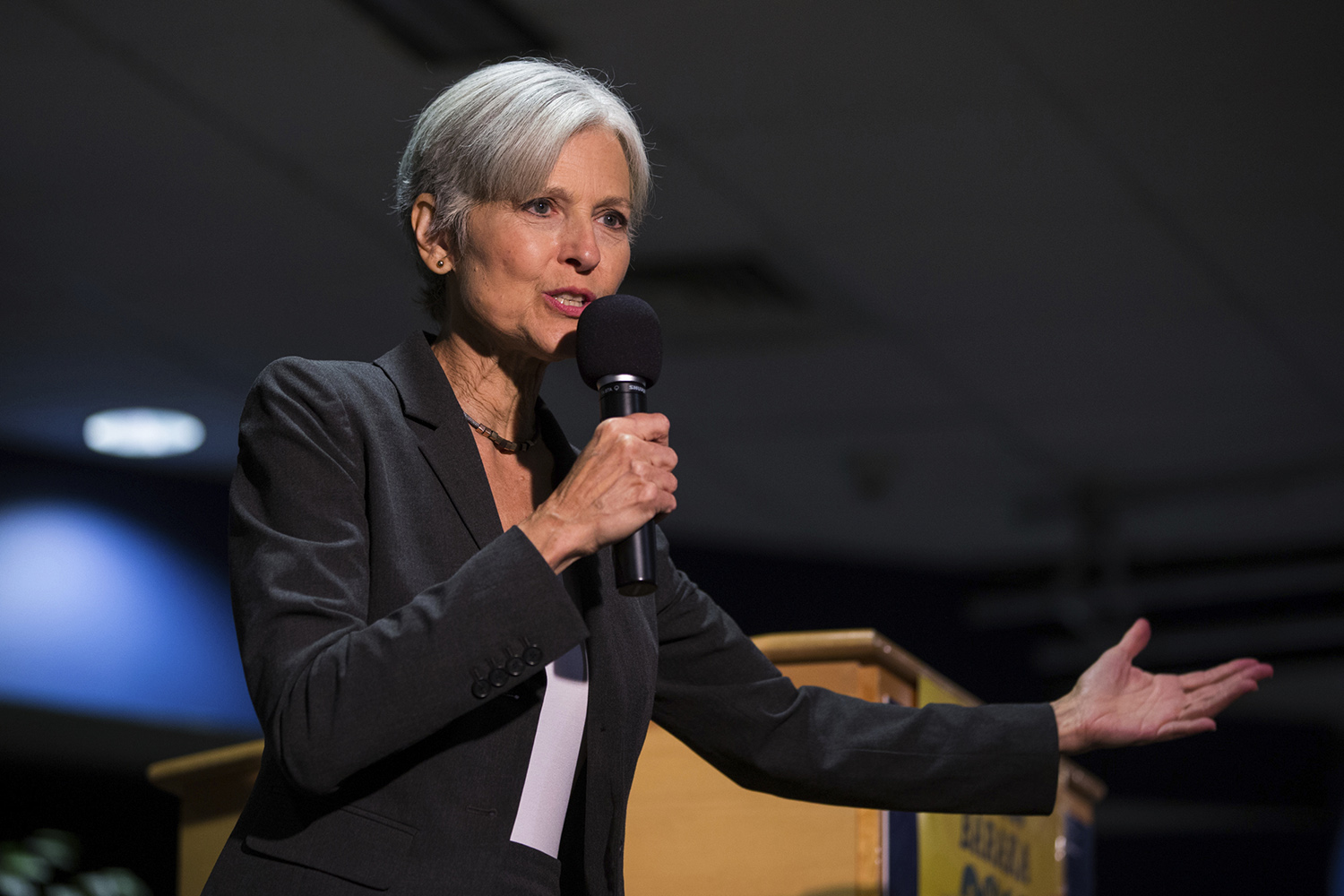Stein would ‘absolutely’ be challenging votes even if Clinton won