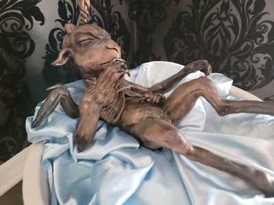 Satanic temple installs display at Illinois Capitol