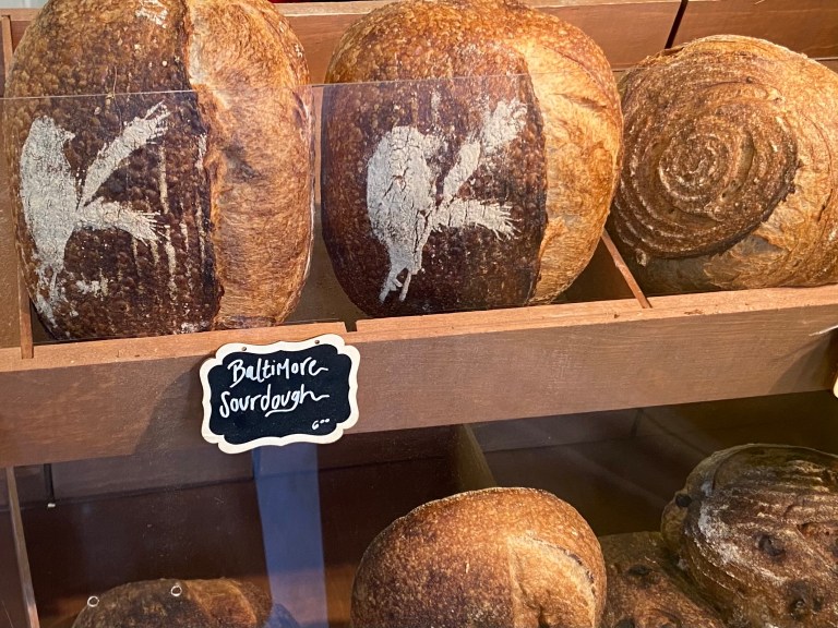 ‘We are a child of the pandemic’: Baltimore bakery defies the odds with debut