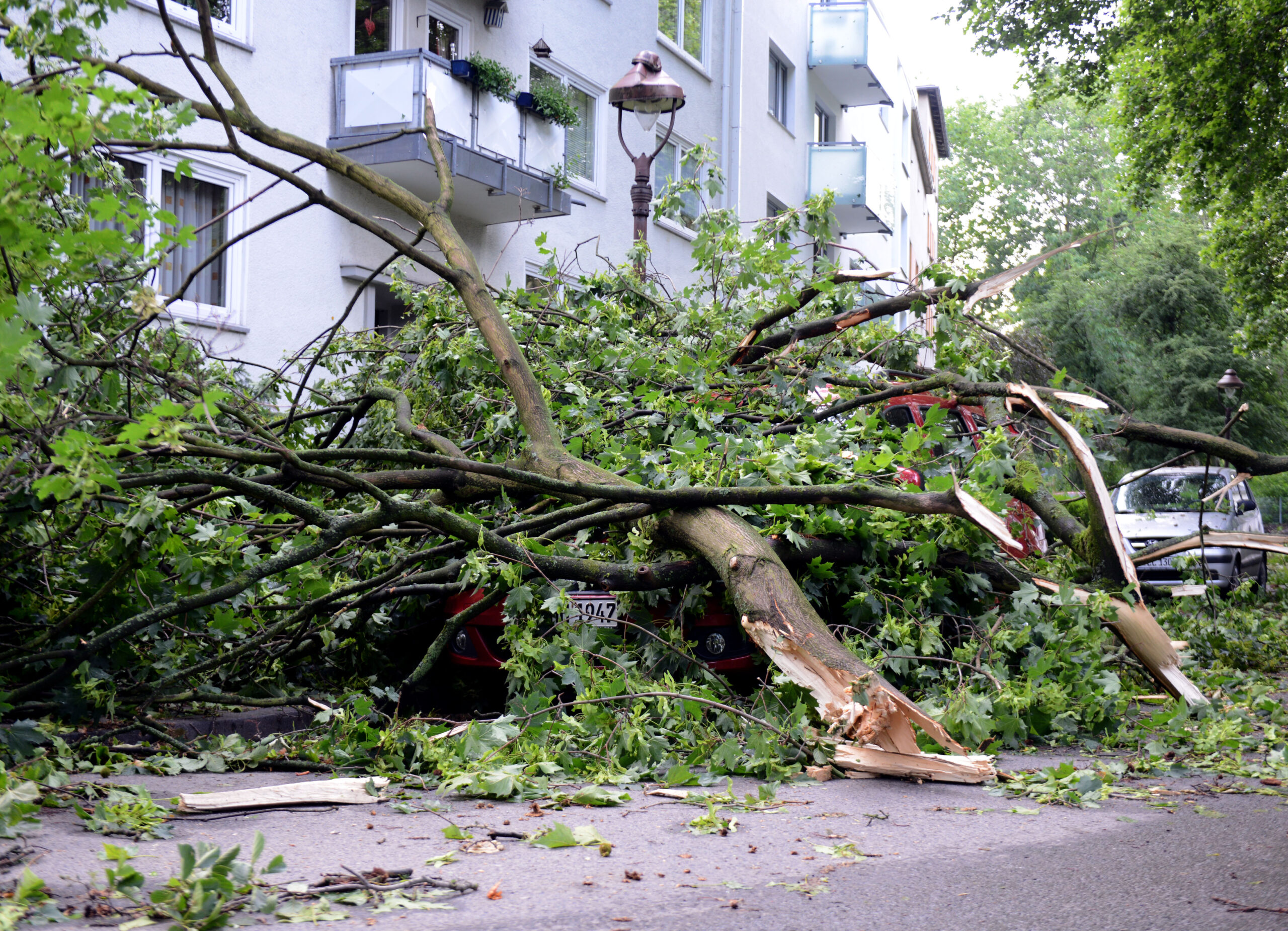 6 die in severe storms in Germany