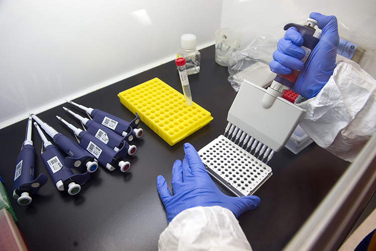 Lawmakers want scientists to spend more time on research instead of administrative tasks. (AP Photo/Cliff Owen, File)