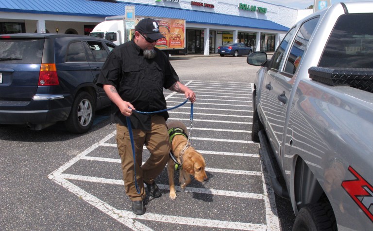 Legislation, which has bipartisan support in the House and Senate, would direct the Department of Veterans Affairs to provide service dogs to patients suffering from PTSD. (AP Photo/Allen G. Breed)