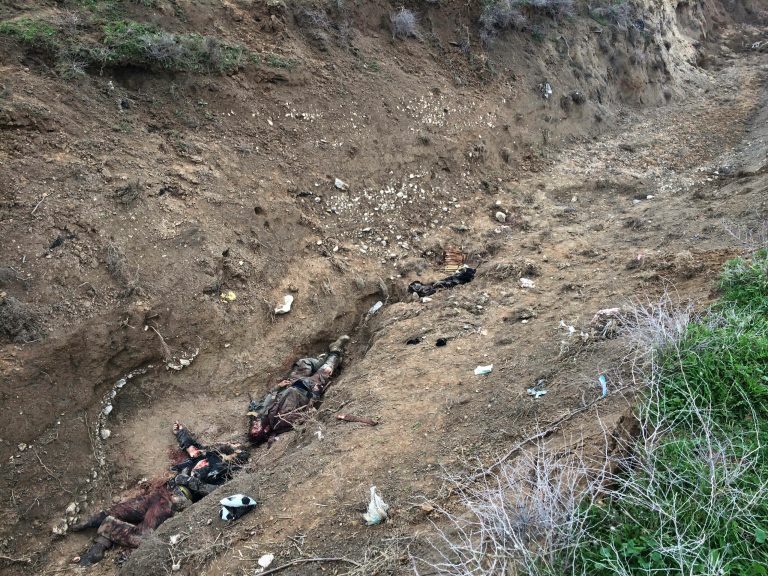 In this Thursday, Dec. 18, 2014 photo, bodies of Islamic State militants killed during fighting on Wednesday, when Kurdish forces pushed towards Sinjar Mountain, lie in a ditch in Koban, Iraq, Thursday, Dec. 18, 2014. Iraqi Kurdish forces battling Islamic State militants managed on Thursday to open up a corridor to the mountain so that thousands of people from the country's Yazidi minority who have been trapped there can flee, said a senior Kurdish official. (AP Photo/Dalton Bennett)