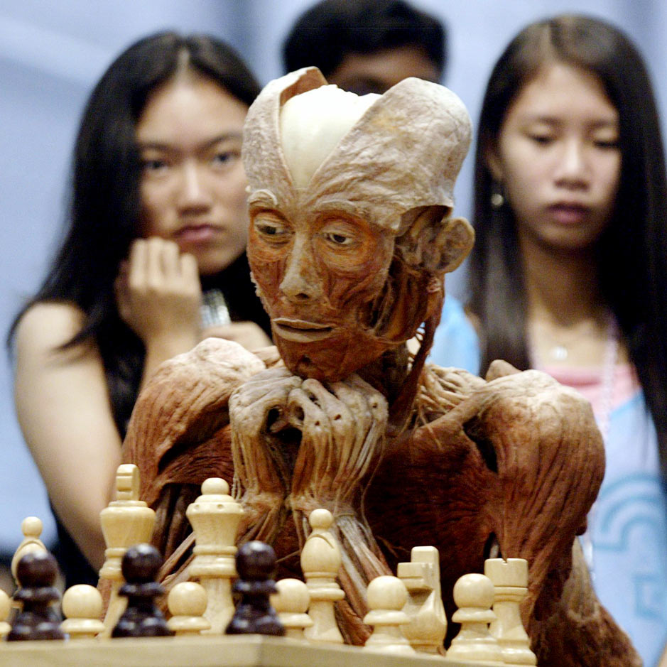 Bodies at an Exhibition