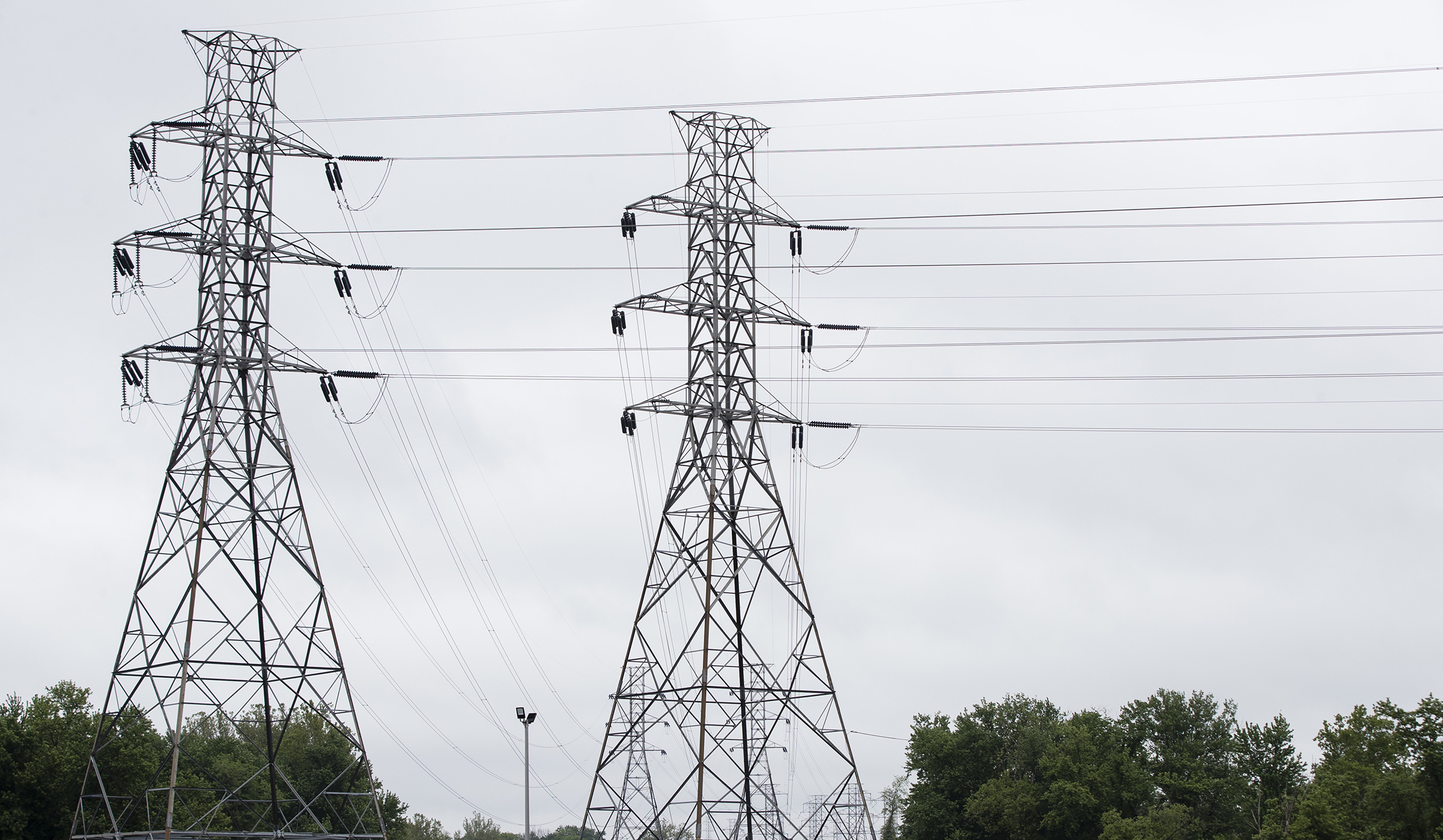 CEO of power reliability organization resigns after arrest for domestic violence