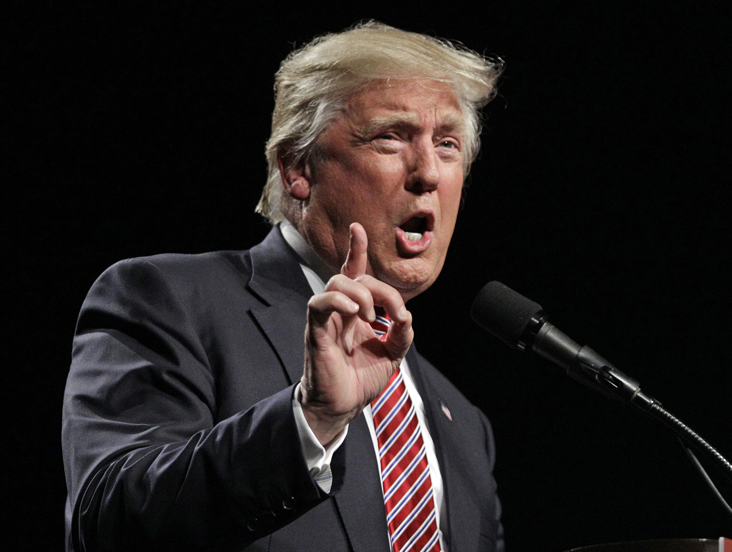 Trump: LGBT Americans are ‘so much in favor of what I’ve been saying’