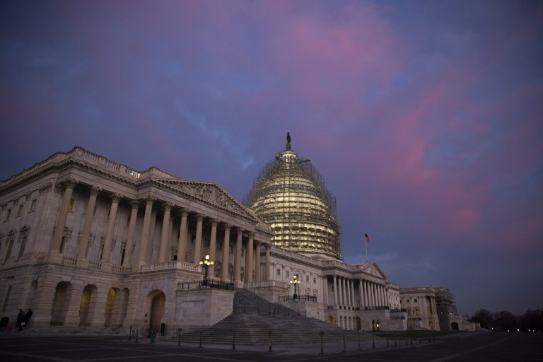 More laws were passed in this first year of a congressional term than in any of the past four terms. (Bloomberg/Drew Angerer)