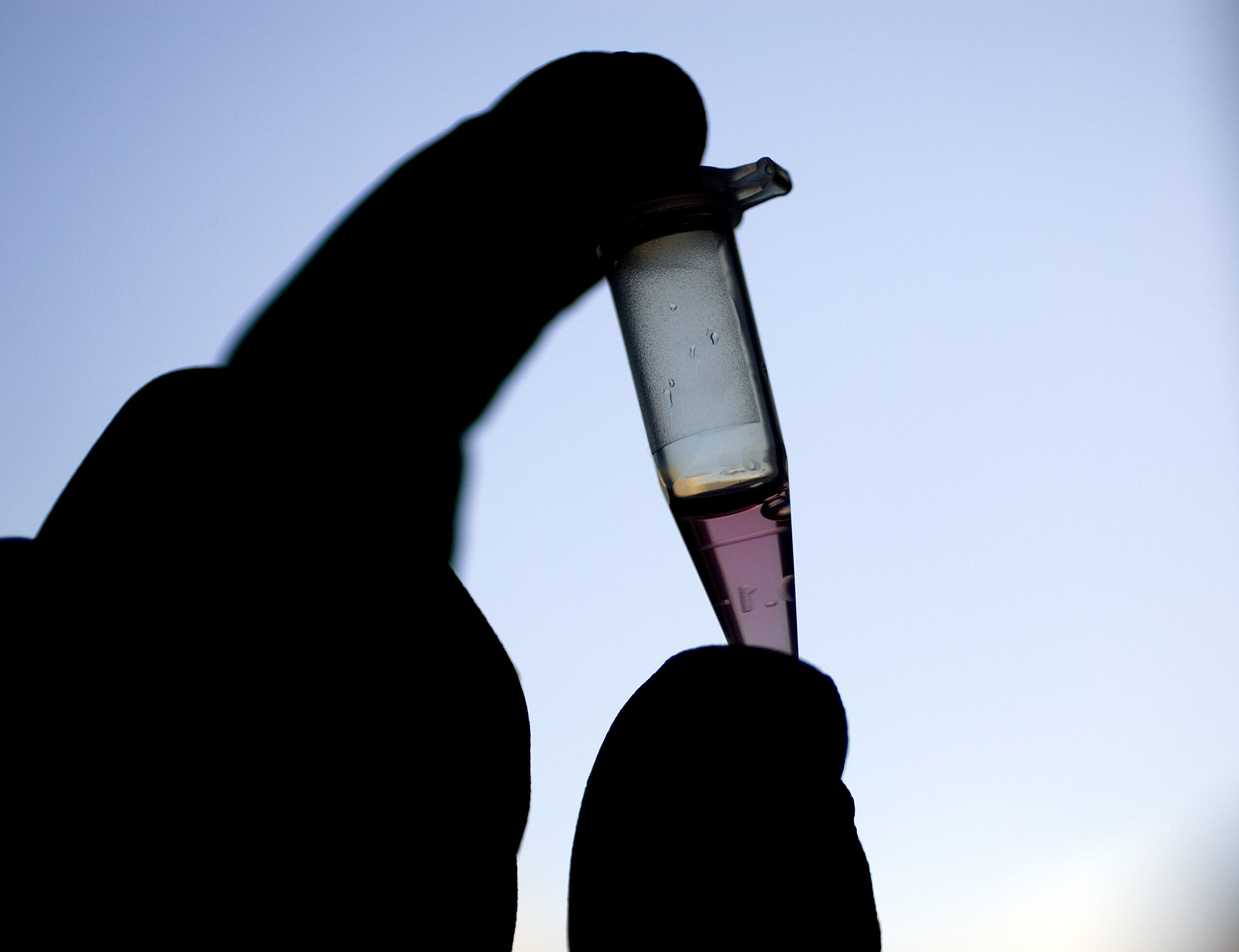 Could genetically engineered humans become a reality?