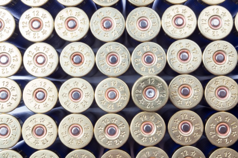 A federal appeals court denied a lawsuit Tuesday by environmental groups that the EPA must use the Toxic Substances Control Act regulate lead used in shells and cartridges. (iStock)