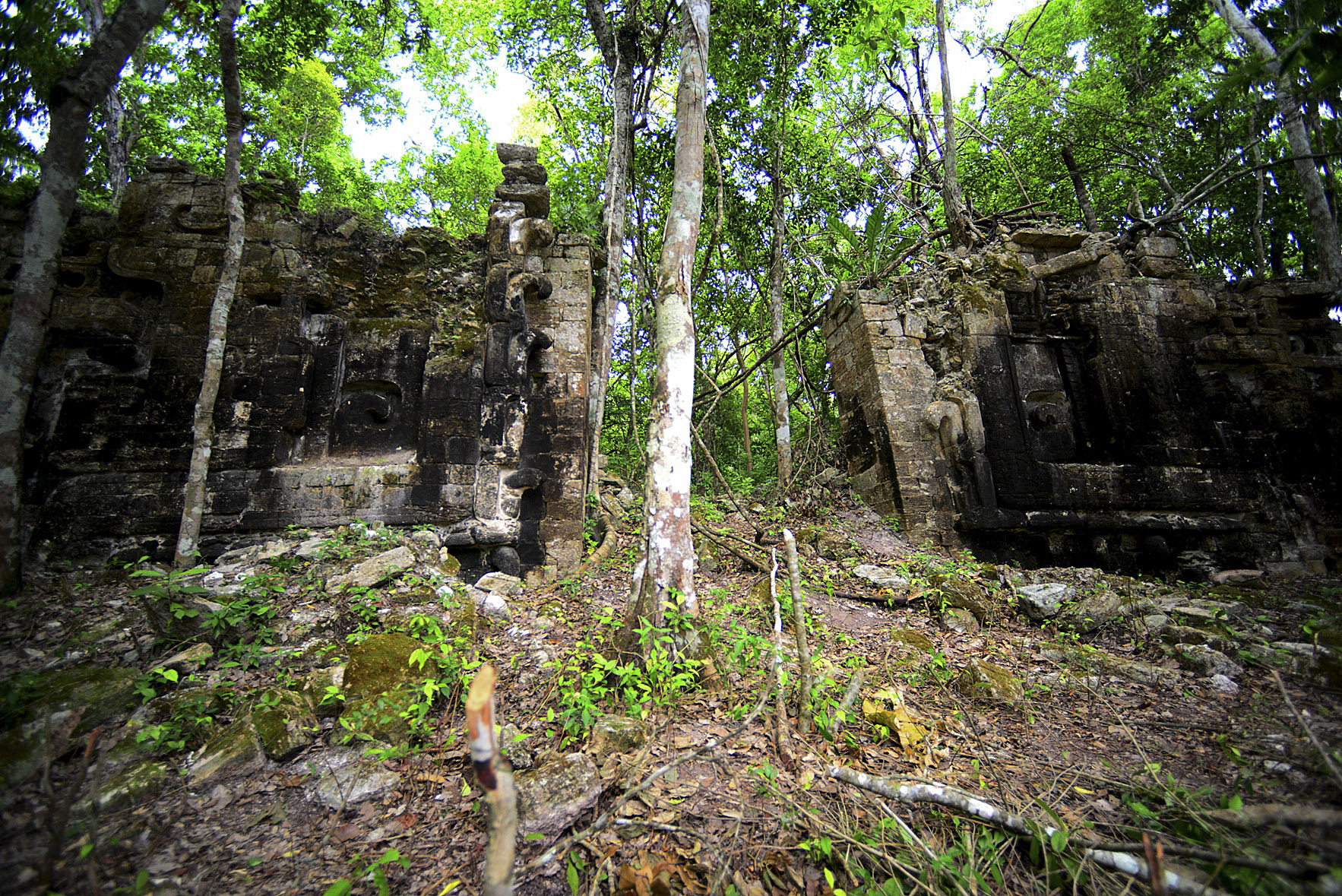 2 new Maya civilization centers studied in Mexico