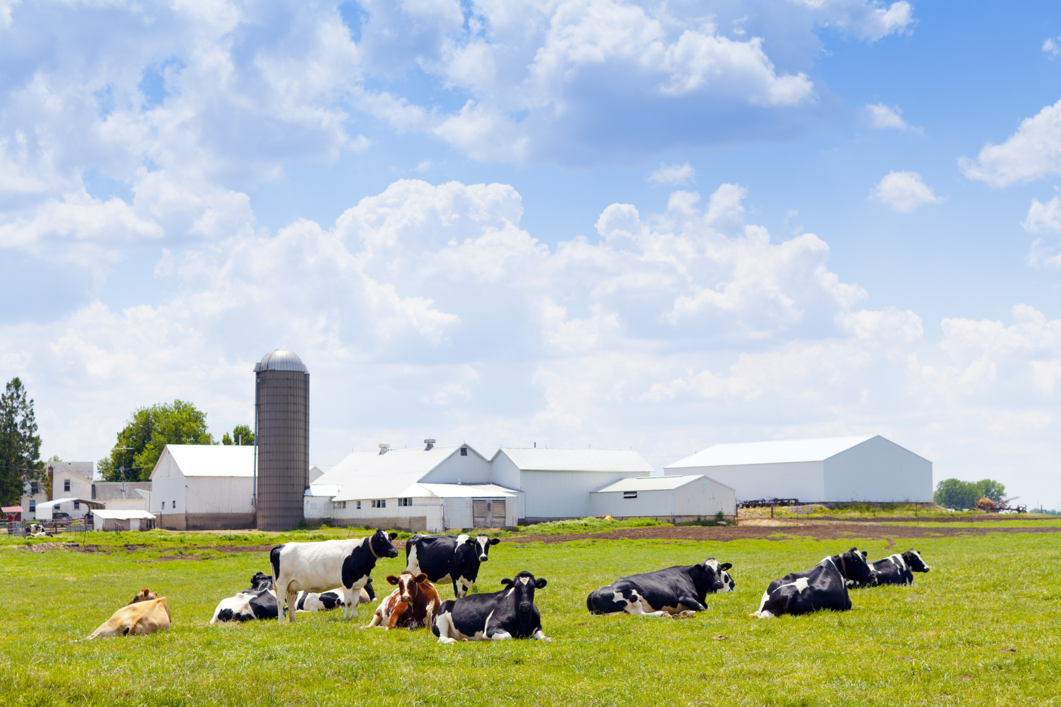 Farm bill moves forward in Senate with final passage expected Tuesday