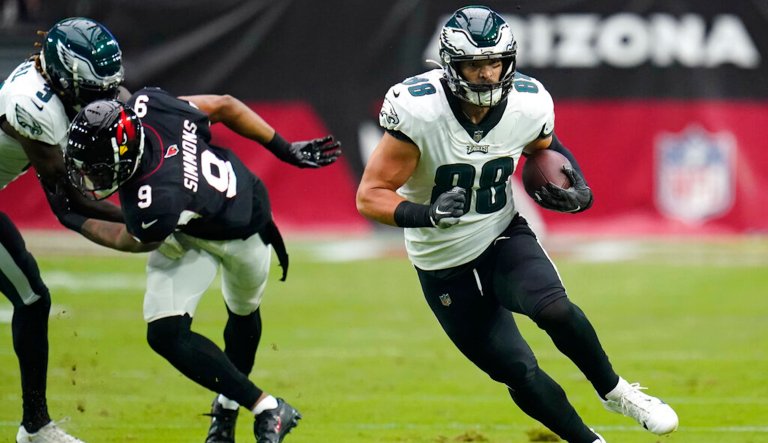 Baltimore Oriole taking off. Male bird in flight, Icterus galbula. 