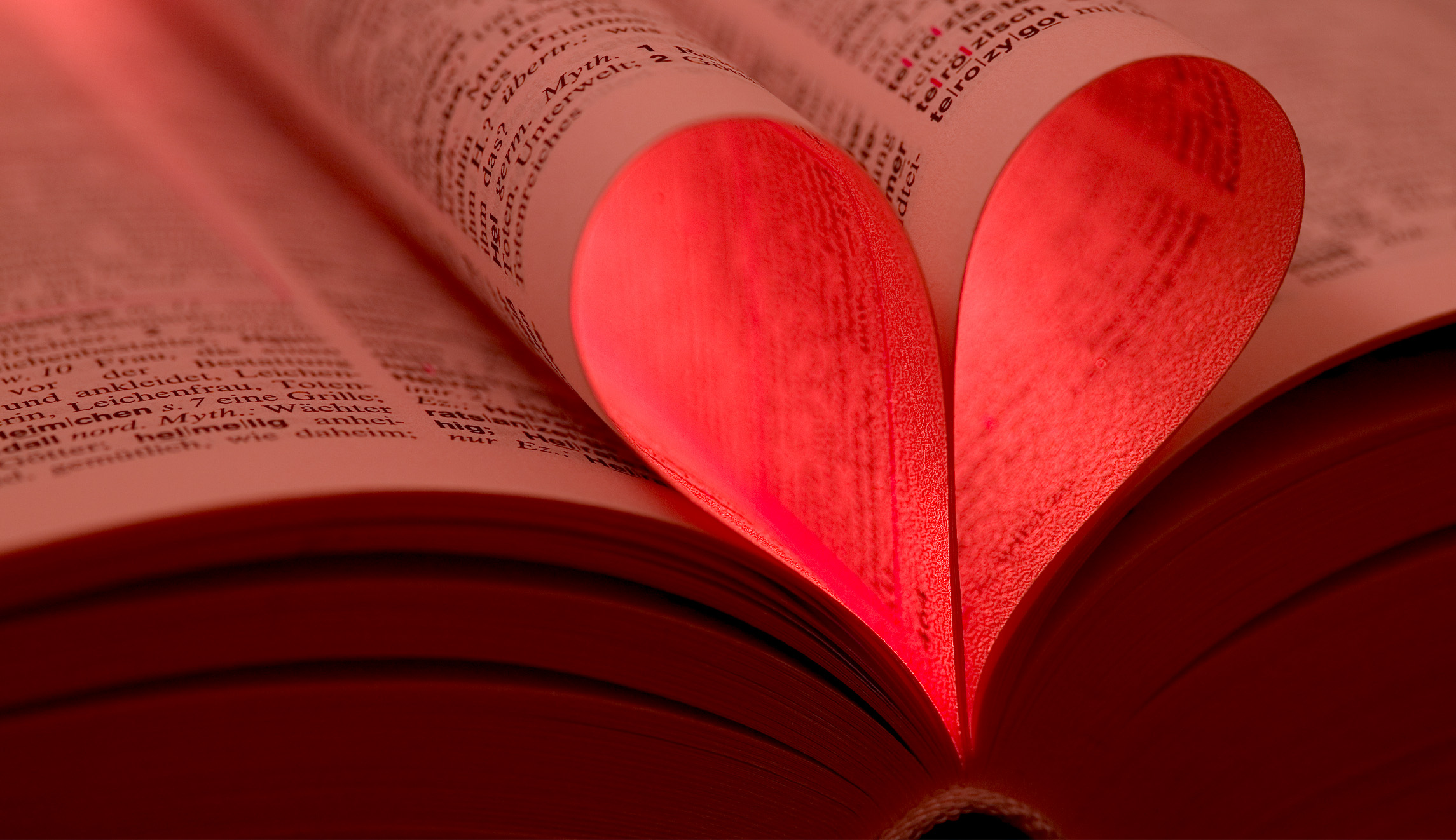 A biography of literary wives