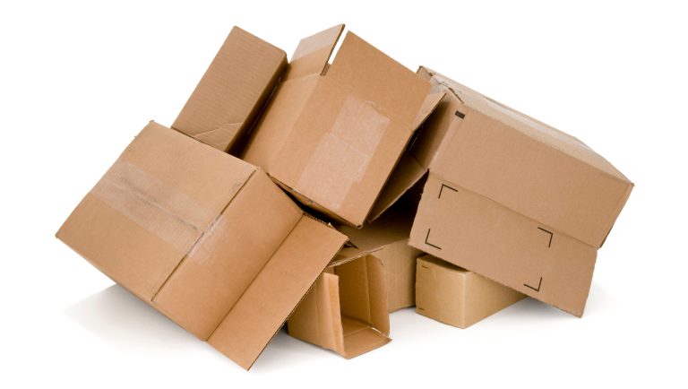 Man sues parents over his massive pornography collection