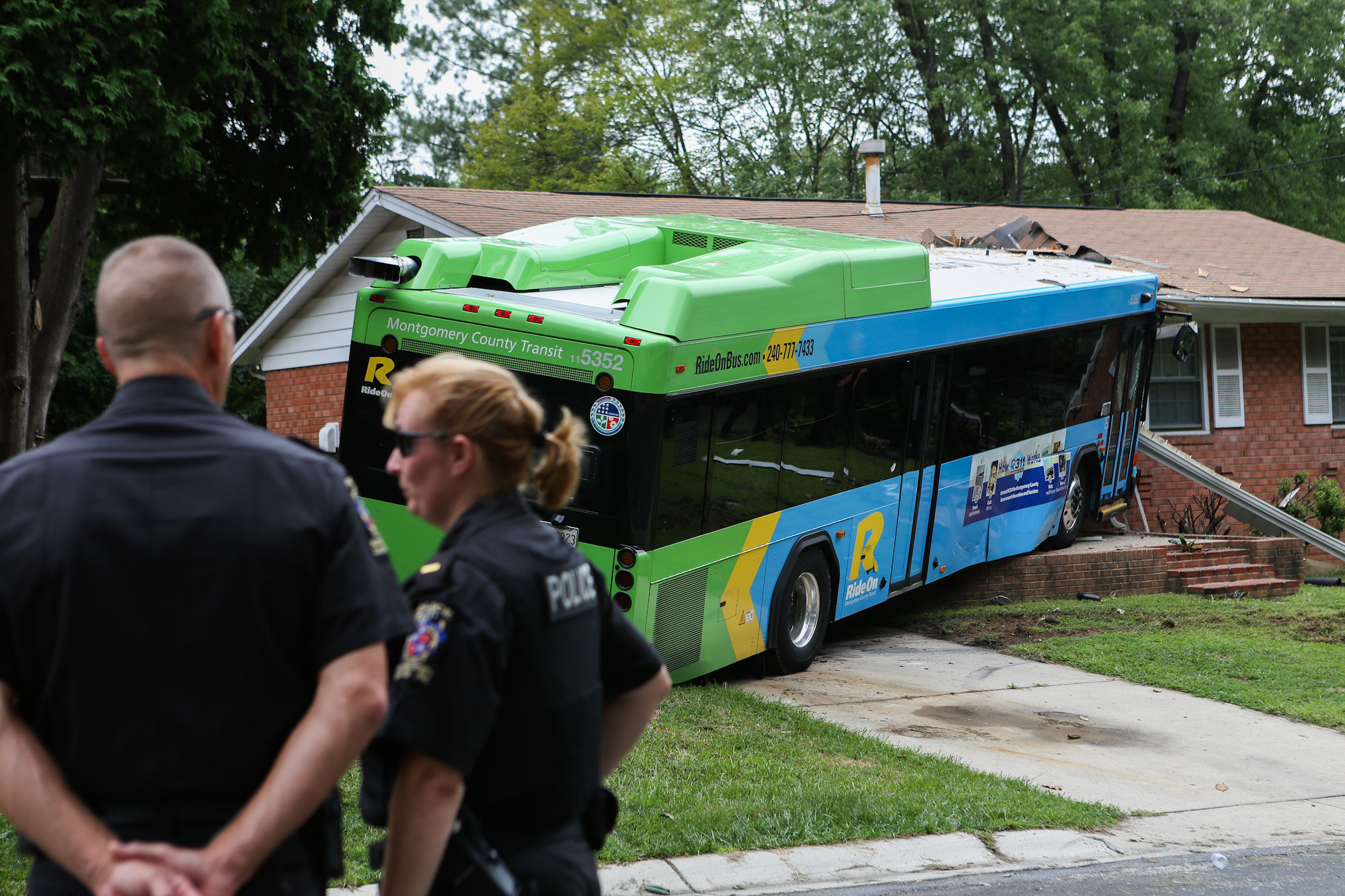 Mechanical problems not behind Ride On crash