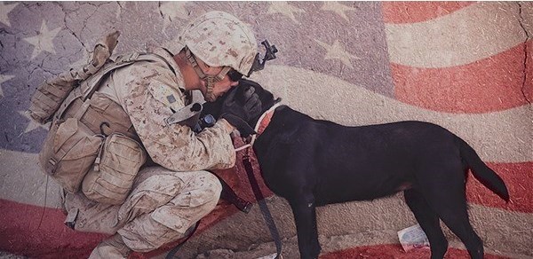 Military service dogs, vets get hero’s welcome on Capitol Hill