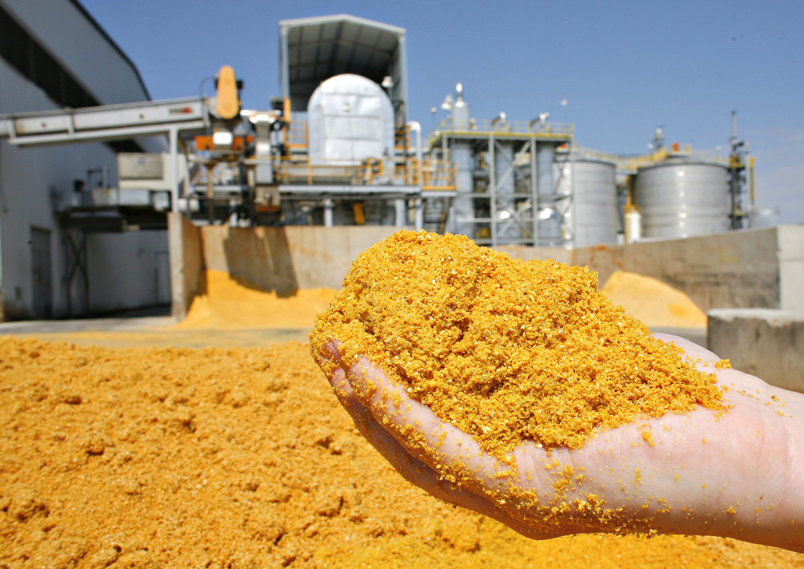 Corn ethanol faces its limits under EPA fuel mandate