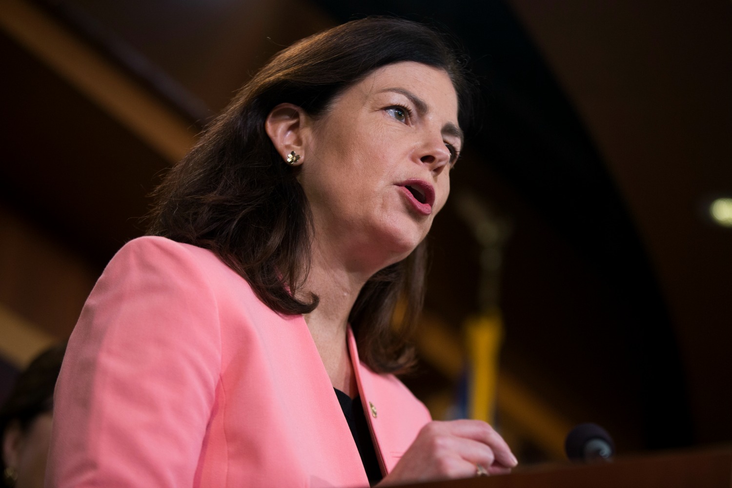 Kelly Ayotte: Yes, I’d tell kids ‘be like Donald Trump’