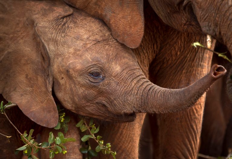 On July 1, President Obama signed an executive order to provide 