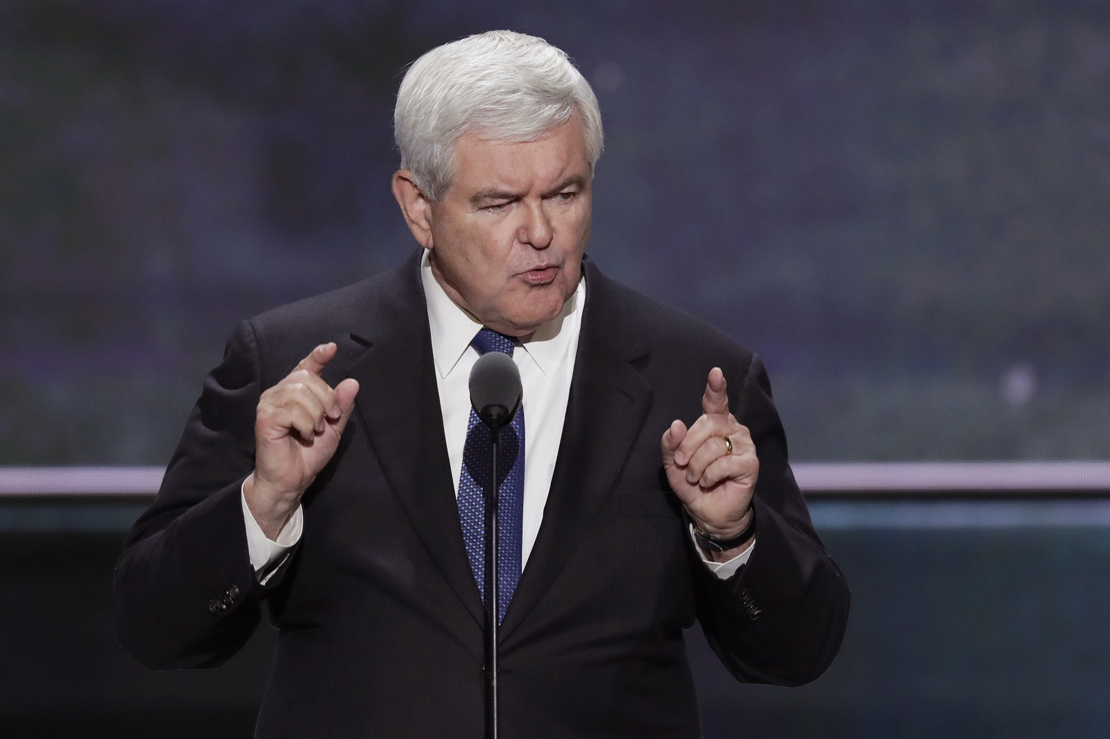 Gingrich: ‘Very possible’ DNC hackers have Clinton’s private emails
