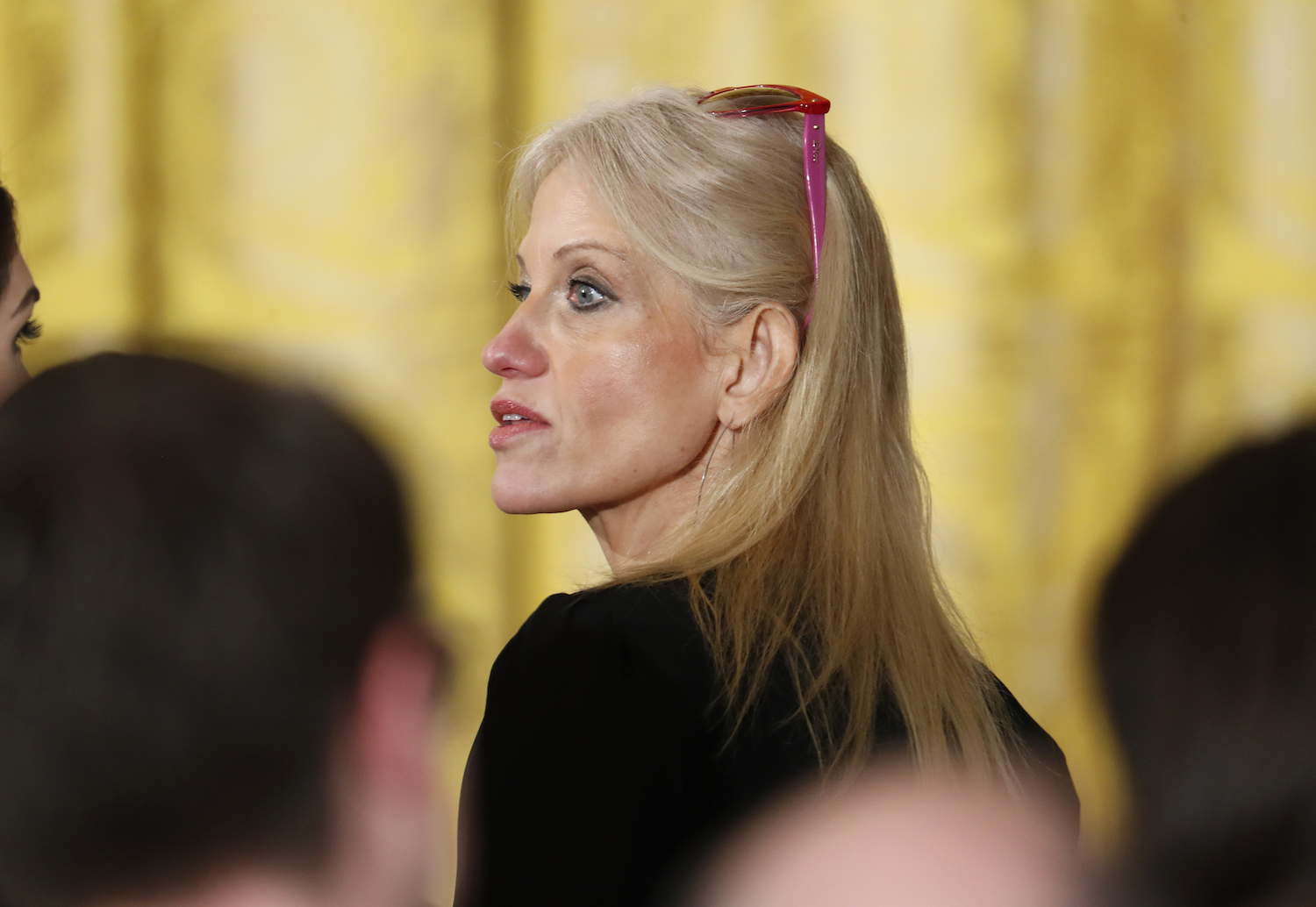 Watchdog ‘disagrees’ with White House decision not to discipline Kellyanne Conway