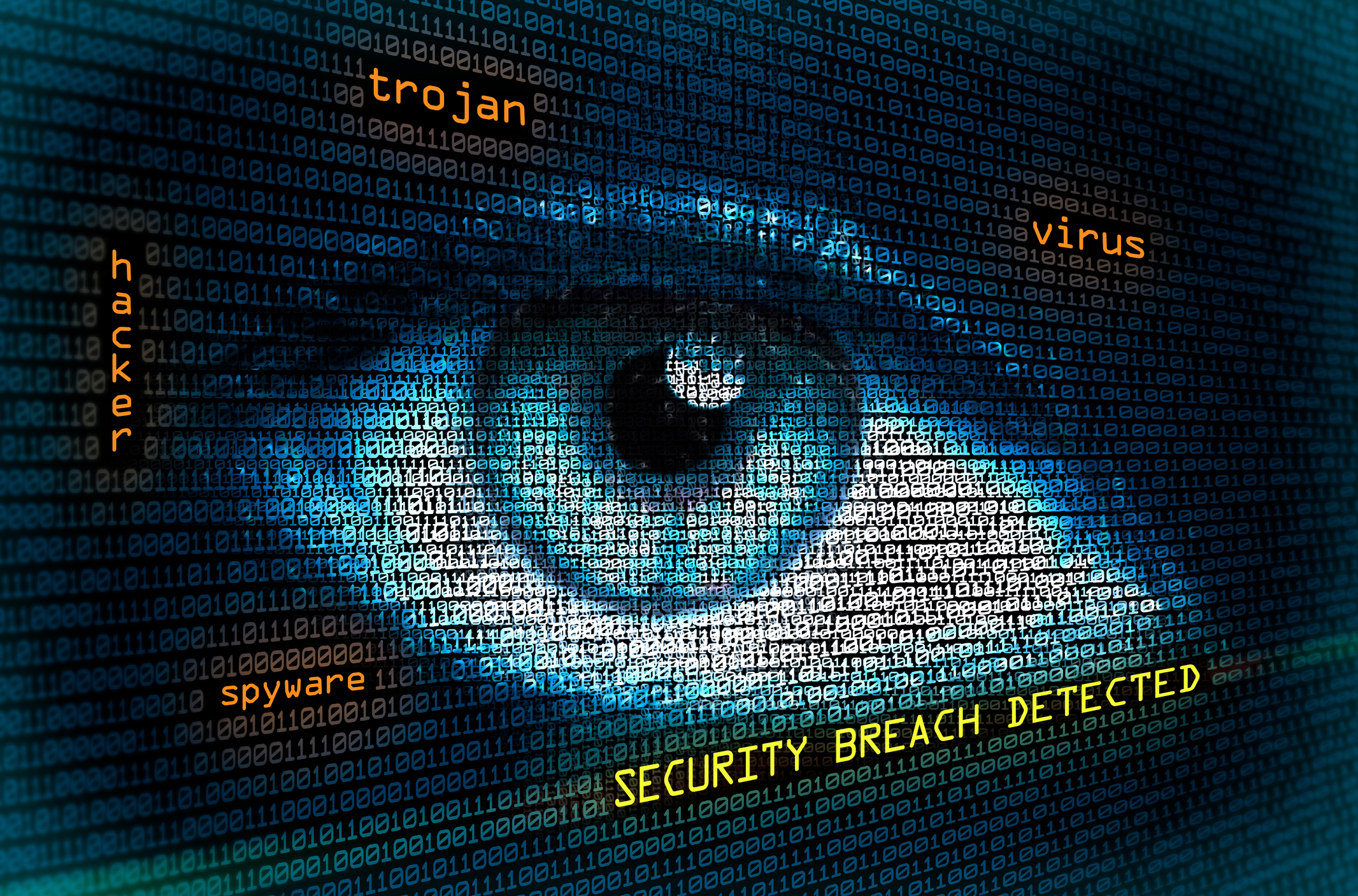 Congress takes broad swipes at cyber issues, with mixed results