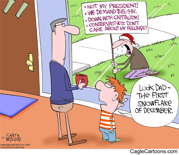 Editorial cartoon: The first snowflake of December