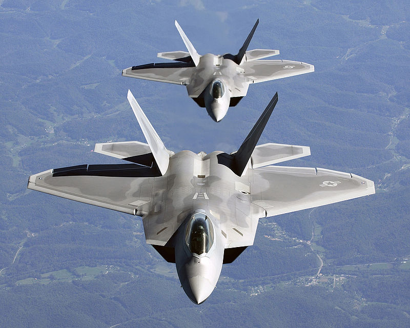 Fleeting Raptor