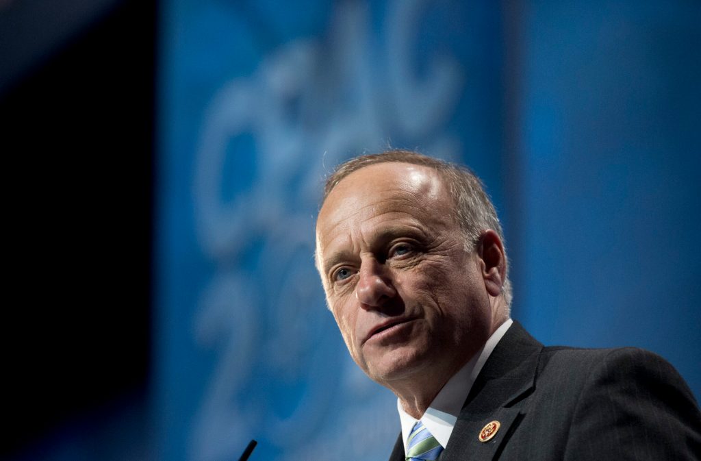 The amnesty lobby’s Steve King problem