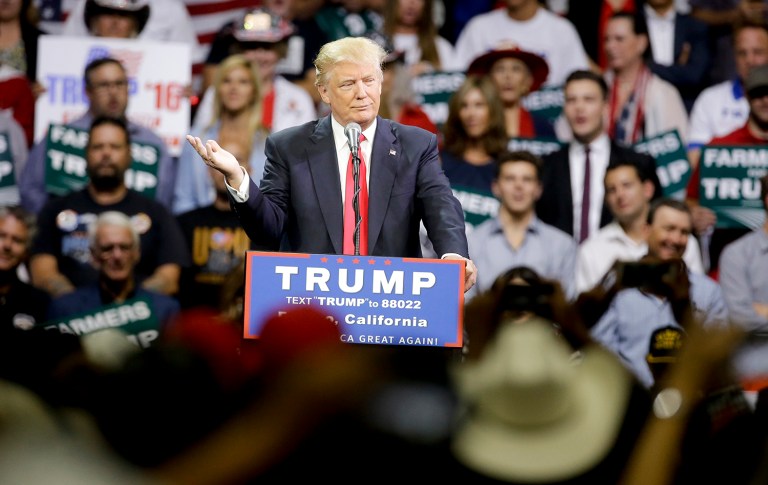 Republican presidential candidate Donald Trump has had many careers in his life, but that of national candidate, head of party, and chief of a vast, complex enterprise was not one of them, and it's one he does not seem to fit. (AP Photo/Chris Carlson)