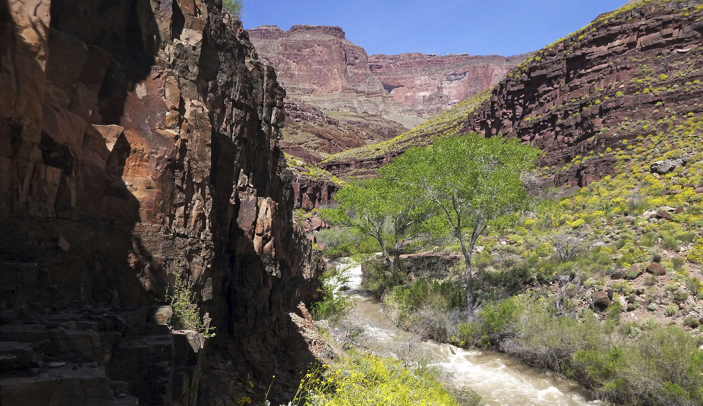 Trump looks to reverse Obama policy banning uranium mining around Grand Canyon