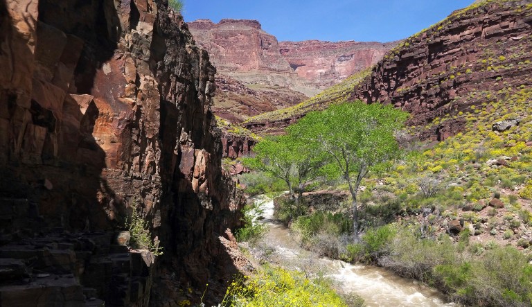 This Sunday, April 16, 2017, photo provided by the National Park Service shows Tapeats Creek in Grand Canyon National Park in Arizona. (National Park Service via AP)