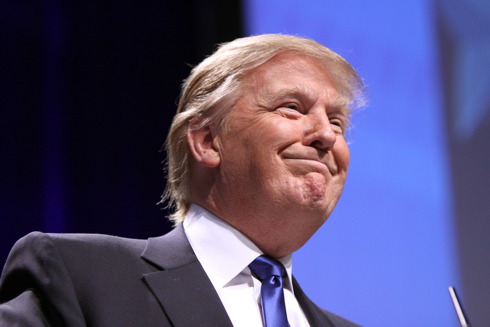 Donald Trump, Inadvertent Reformer