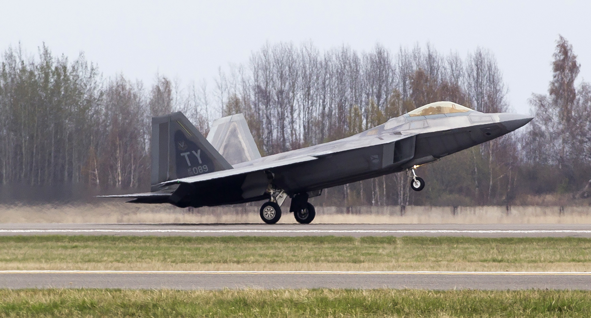 Swarm of bees grounds Air Force’s most advanced jet