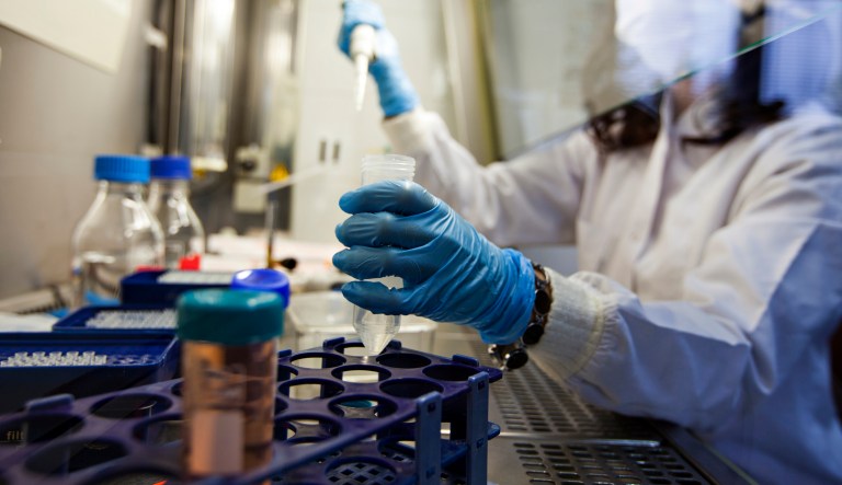 Ramazzini's transparency and findings have been questioned. (iStock by Getty Images)