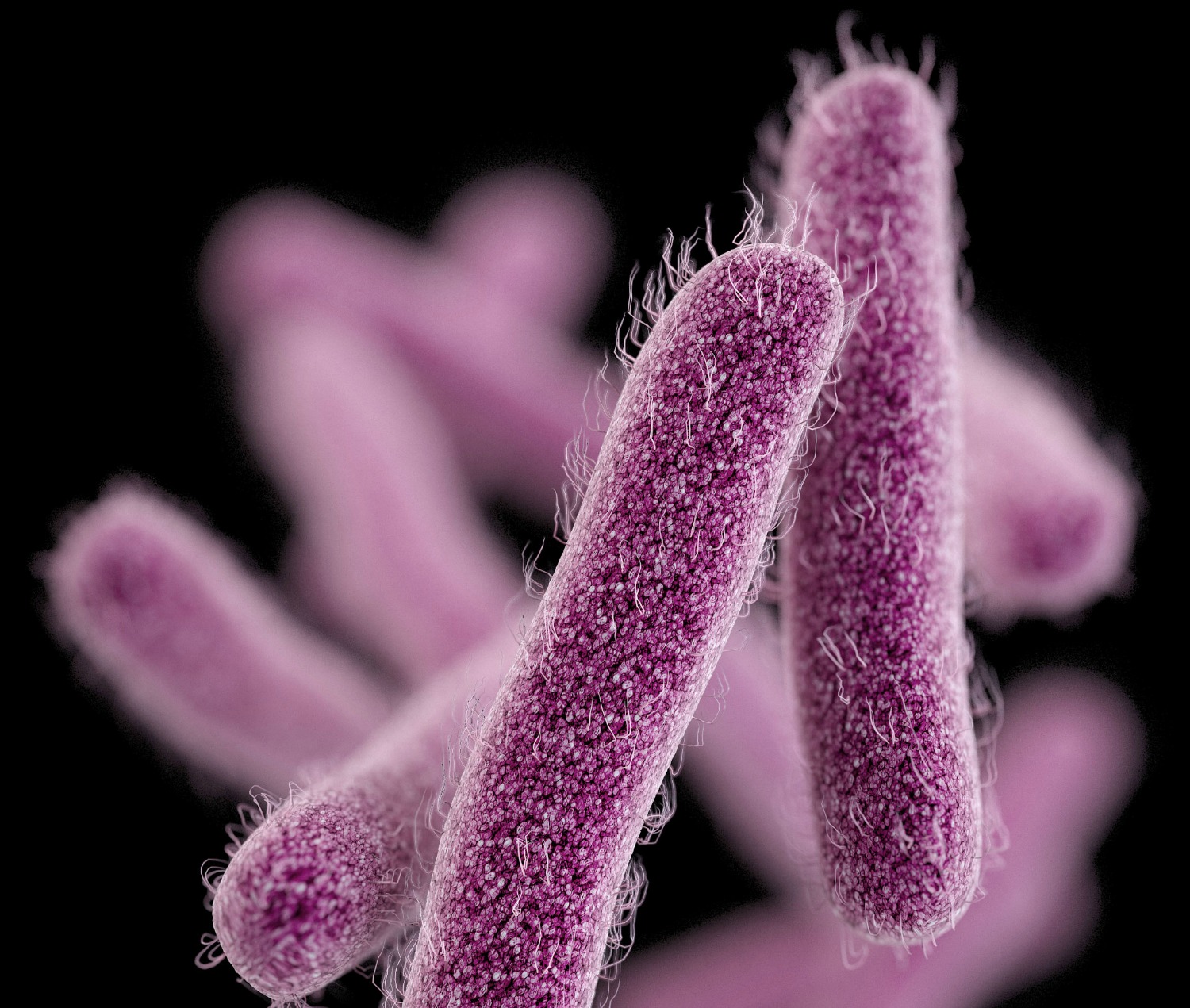 UN to hold rare, major meeting on superbug threat