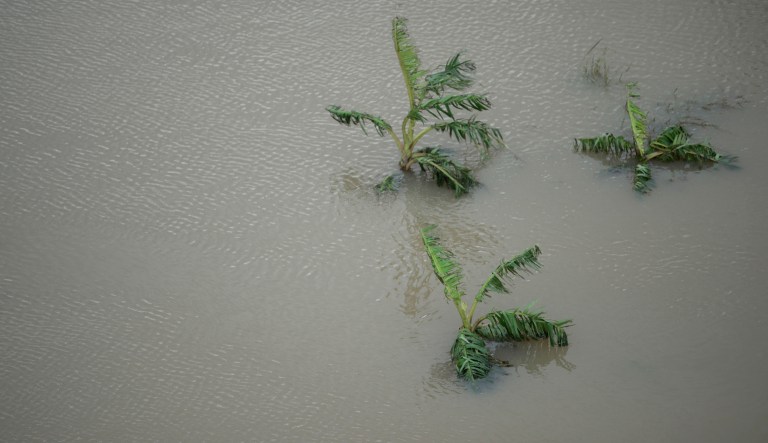 The full extent of the storm damage in Puerto Rico and the Virgin Islands is not yet known. (AP Photo/Carlos Giusti)