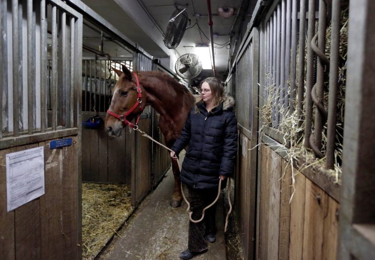 Carriage driver Christina Hansen returns Star to a stall in New York's Clinton Stables. (AP Photo/Richard Drew)
