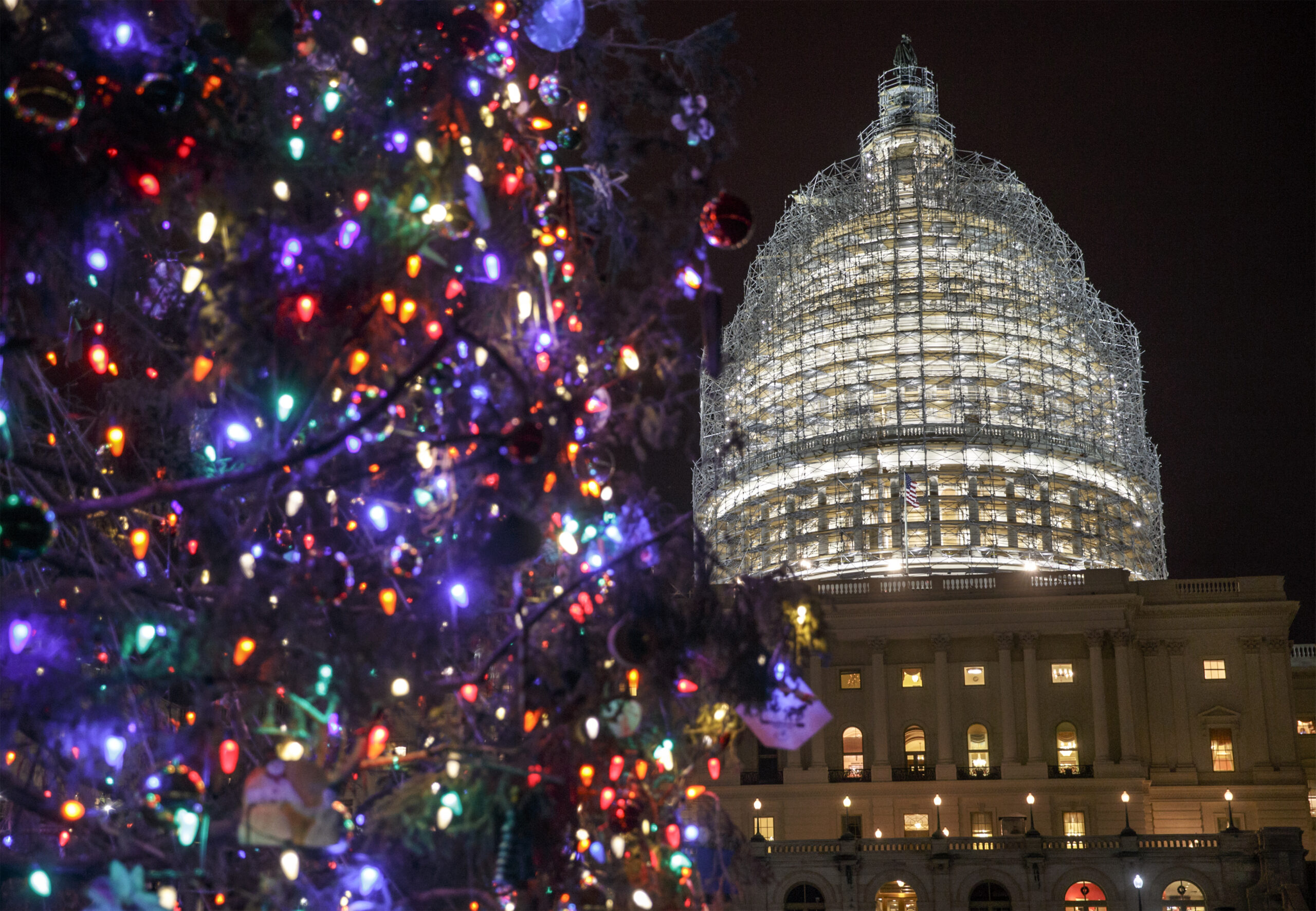 At Christmas 2015, causes for conservative joy