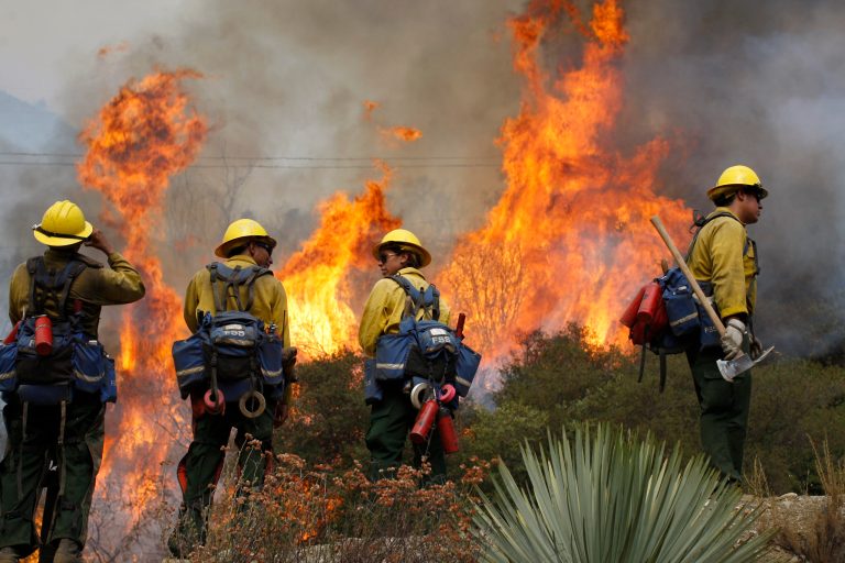 U.S. Forest Service firefighters stand near flames at the Williams fire in the Angeles National Forest on September 4, 2012 north of Glendora, California. (Photo by David McNew/Getty Images)