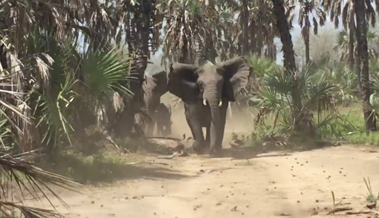 Flake recently irked fellow party members when he announced he had donated $100 to Democrat Doug Jones in opposition to Republican Roy Moore. (@JeffFlake/Twitter)