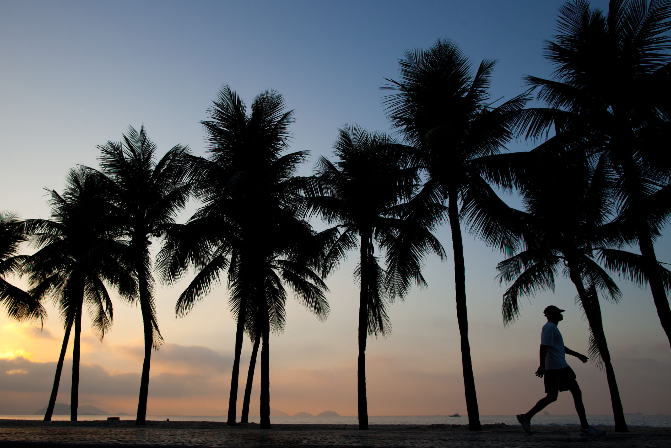 UN official: Rio+20 statement just 28 pct done