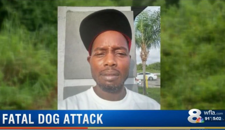 A photo of Melvin Olds Jr., who died from around 100 dog bites, is seen in a Florida news program.
