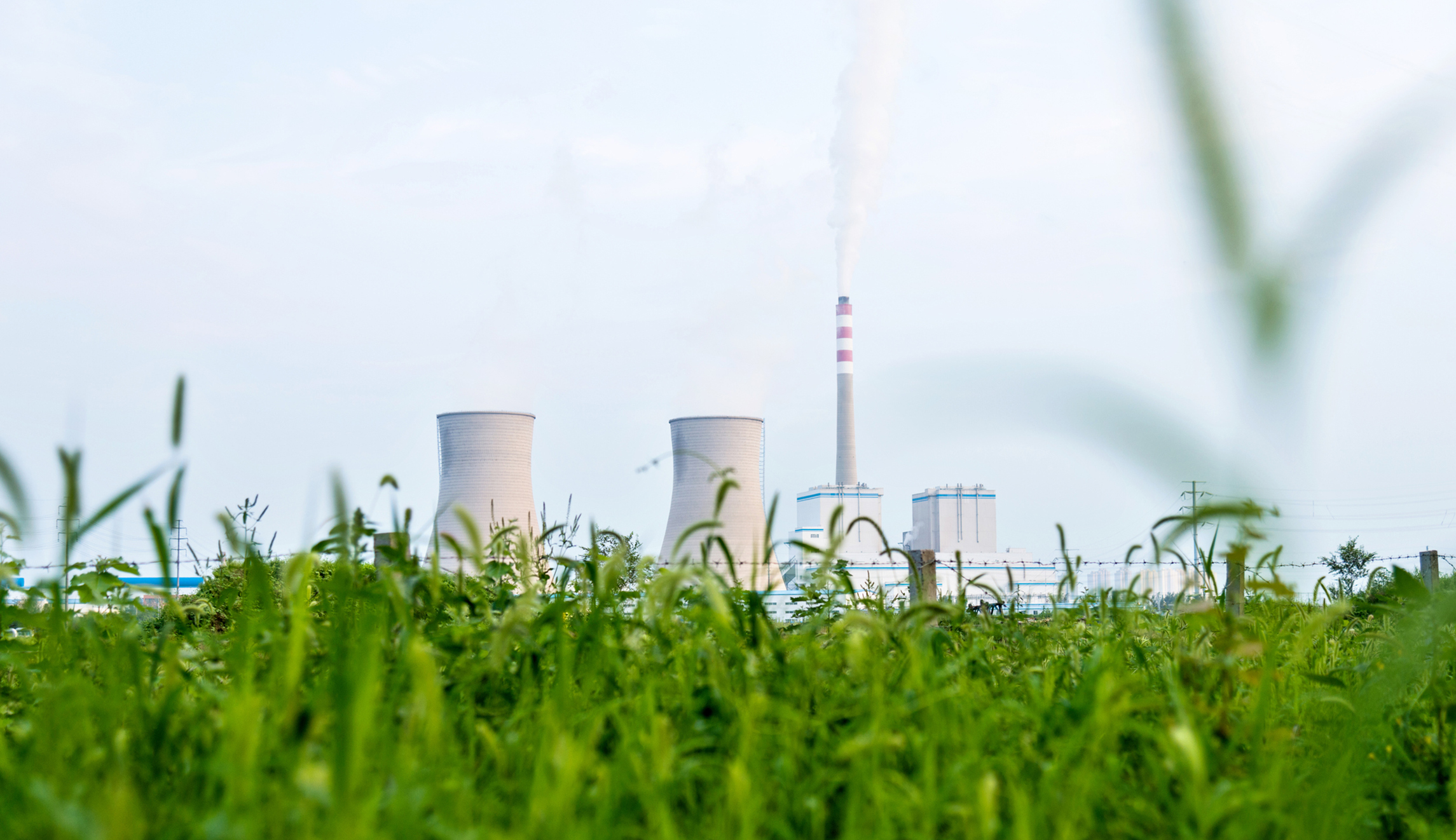 Scientists: CO2 the ‘miracle molecule’ key to feeding, saving the world