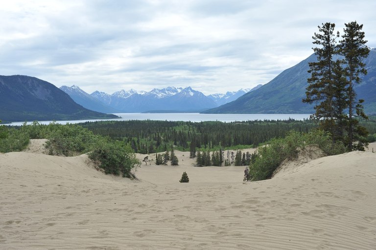 Prufrock: In Search of the Tasmanian Tiger, What Makes Science Science, and the World’s Smallest Desert