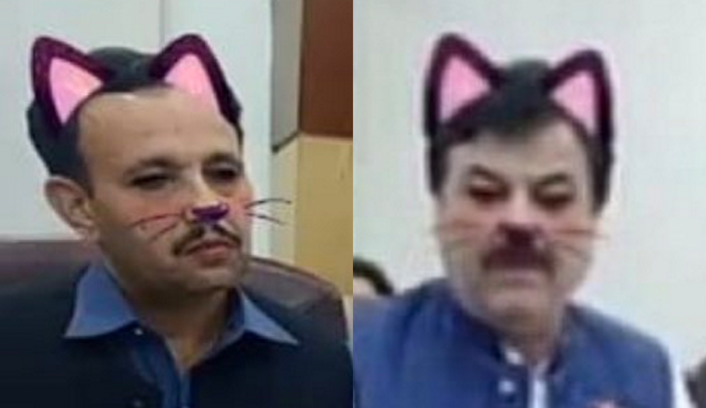 Pakistani minister accidentally livestreamed press briefing with ‘cat filter’