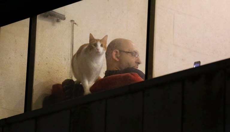 Veterinarians advise people who are self-isolating to keep their cats indoors